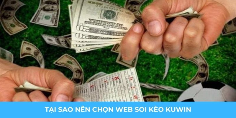 Tại sao nên chọn web soi kèo KUWIN